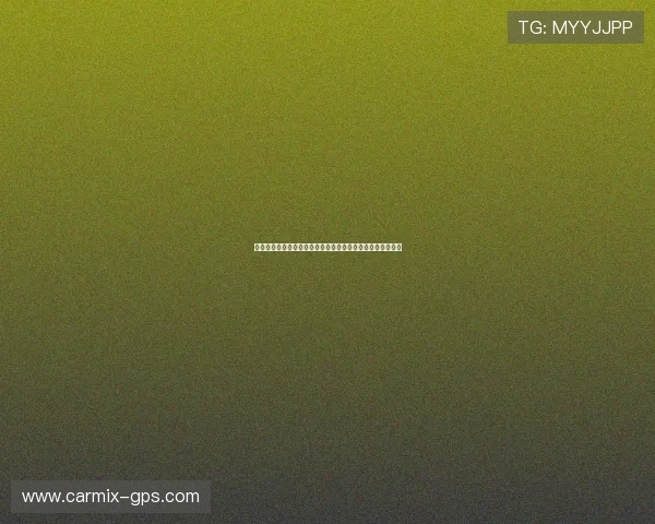 新西兰队在世界杯中的纸面实力与比利时队的差距与优势探讨 新西兰队在世界杯中的纸面实力与比利时队的差距与优势探讨